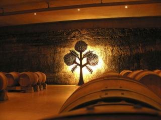 In the Roda cellar